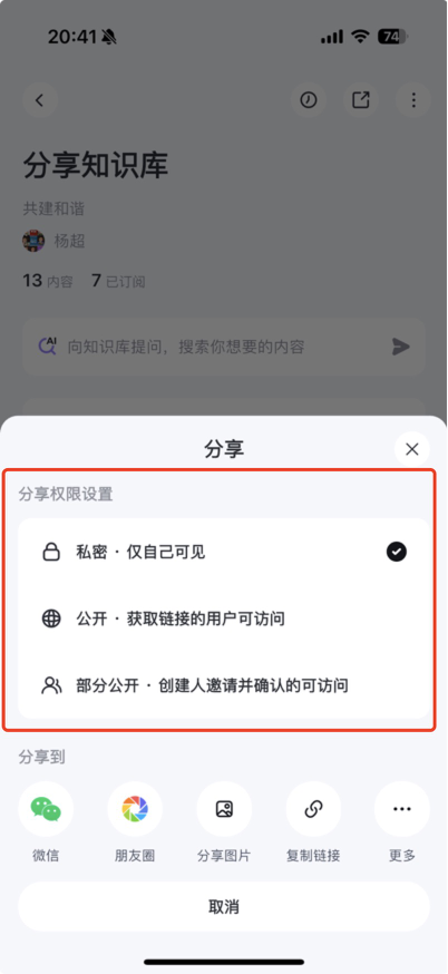分享设置页面,顶部三个选项切换:私密、公开、团队可见,当前选中「公开」