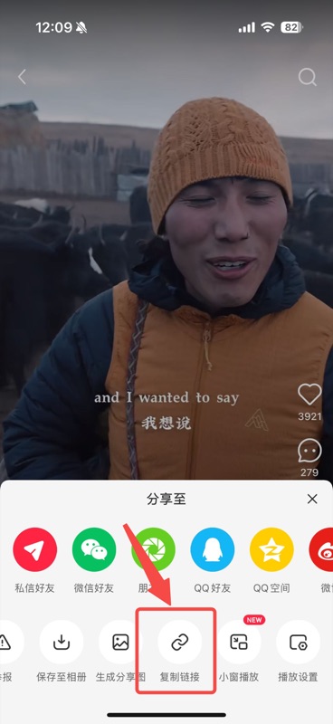 小红书「分享至」菜单弹窗,显示私信好友、微信好友等分享渠道,底部第二排「复制链接」按钮用红框高亮标注